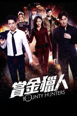 Bounty Hunters 2016 Hindi Dual Audio 330MB