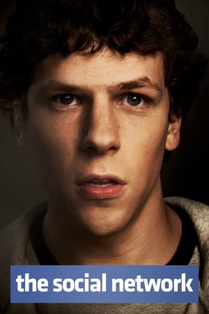 The Social Network 2010 Hindi Dual Audio [800MB]